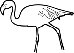 Jamess Flamingo